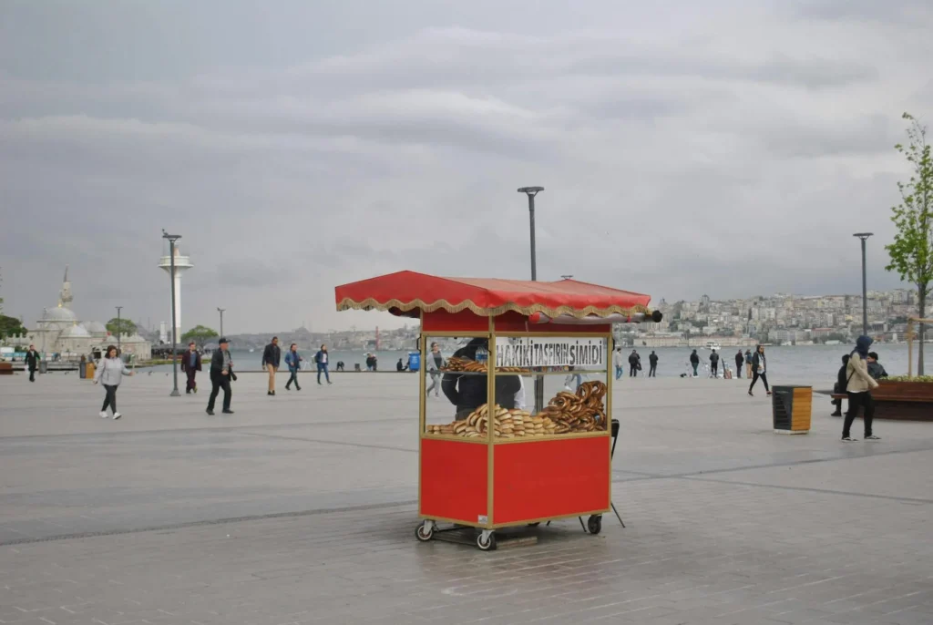 İstanbul'da Sadece Simit ve Çay İle 2026 Yaşam Maliyeti - görsel 4
