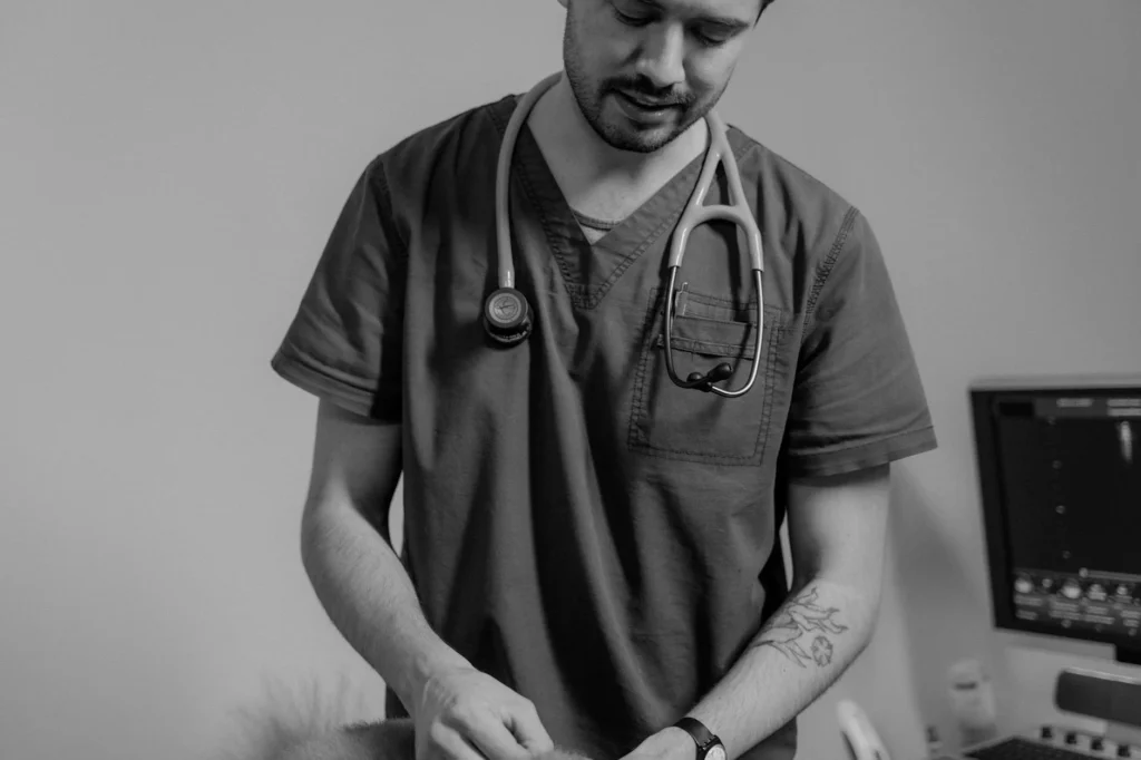 2026 Kapsamlı Check-Up Paketleri: Beklenen Maliyetler ve Karar Kriterleri