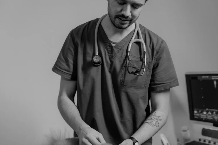 2026 Kapsamlı Check-Up Paketleri: Beklenen Maliyetler ve Karar Kriterleri