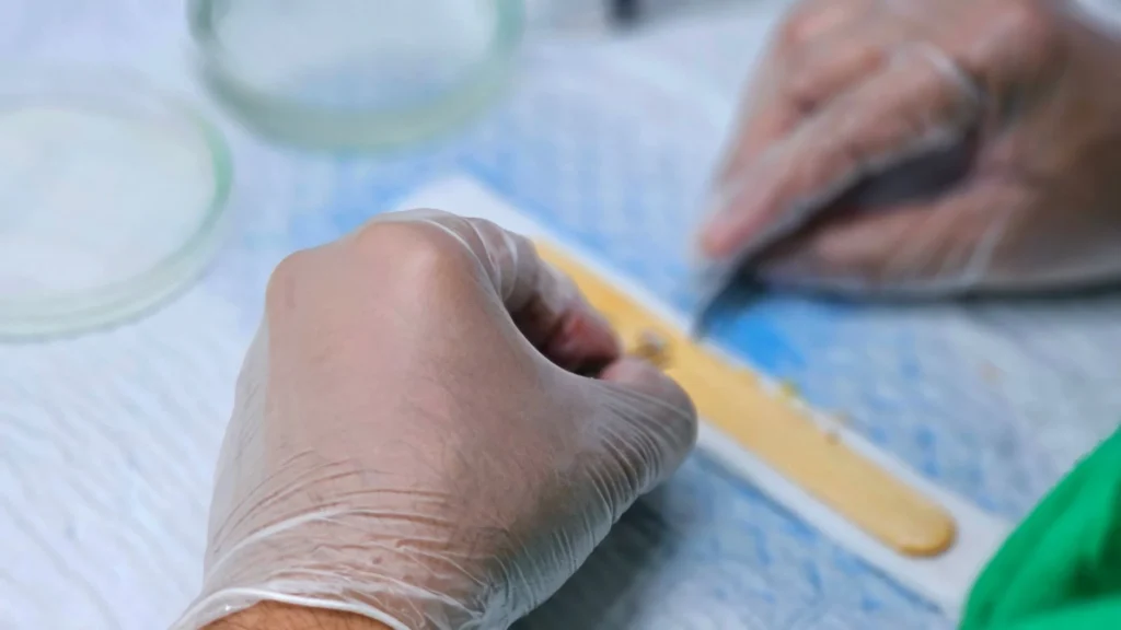 İstanbul Saç Ekimi Fiyatları ve En İyi Klinikler 2026